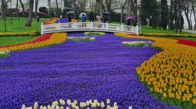 İstanbul'da Lale Bayramı.. 